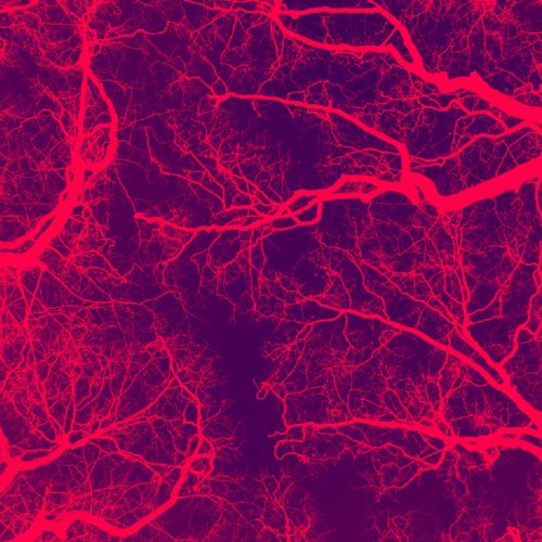 Hell lingering within