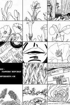 Effy 10 – Flowers’ Republic (floriography and decision making)