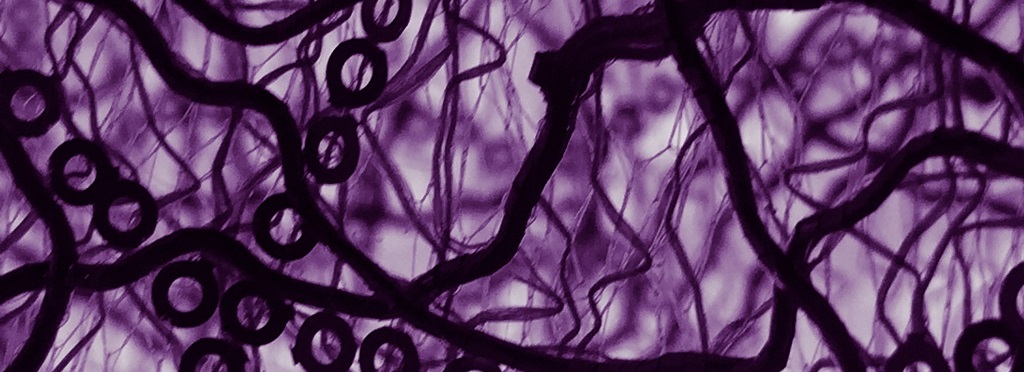 Mauving On 2020 spring summer collection Effy By Design