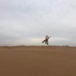 Kwoa Photo Poem 19 Dry flow - Tenggeli desert 2020