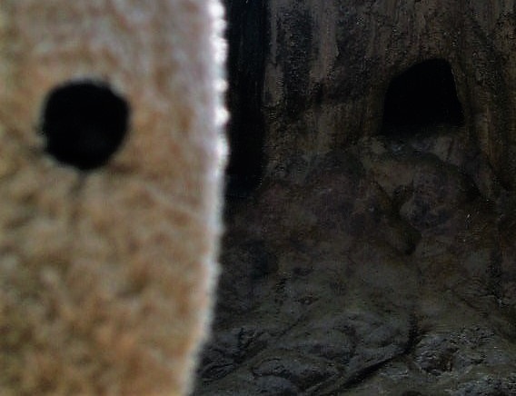 Kwoa Photo Poem 23 Preying forms - Huanglong 2005