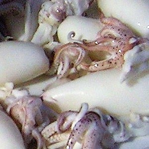Kwoa Photo Serie - Food Texture - Cantonese steamed octopus - China