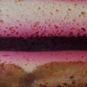 Kwoa Photo Serie - Food Texture - Cassis mousse cake - Slovenia