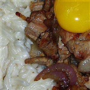 Kwoa Photo Serie - Food Texture - Pasta carbonara with egg, cream, cheese and pork - Homemade