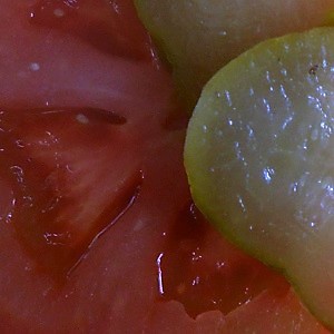 Kwoa Photo Serie - Food Texture - Tomato and green vegetable - China