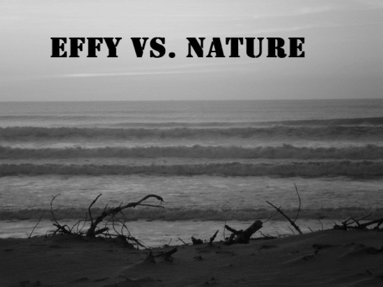 Effy_60 Effy vs. Nature gif 550