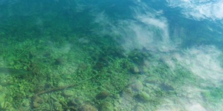 Kwoa photo series - Water close-up - Lake bed with cloud reflection over it