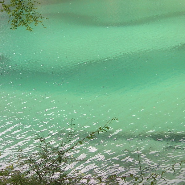 Kwoa photo series - Water close-up - Quiet green ponds in Huanglong