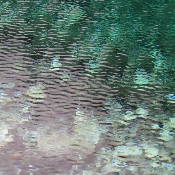 Kwoa photo series - Water close-up - Ripples over pond with stone white light green and dark green