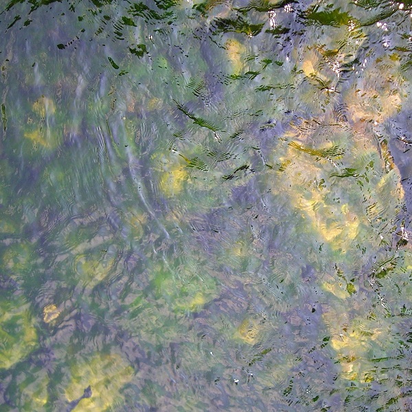 Kwoa photo series - Water close-up - Slight shadow reflection over a greenish pond