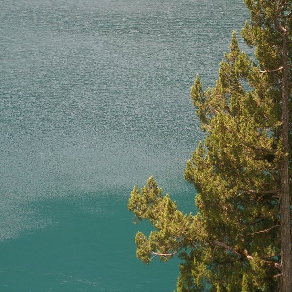 Kwoa photo series - Water close-up - Tree overlooking a quiet lake in Gansu